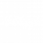 19_kellogs